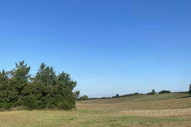 Terrain à vendre de 800 m² à Cadours