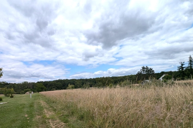 Terrain à vendre de 2570 m² à Chaumont-sur-Loire