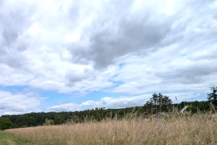 Terrain à vendre de 2570 m² à Chaumont-sur-Loire