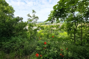 Maison à vendre 5 pièces de 103 m² à Conflans-Sainte-Honorine