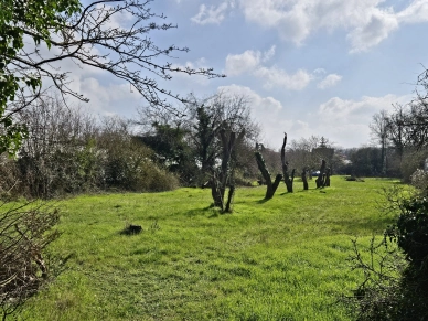 Terrain à vendre de 2128 m² à Neuville-sur-Oise