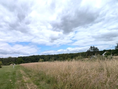 Terrain à vendre de 2570 m² à Chaumont-sur-Loire