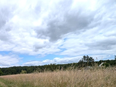 Terrain à vendre de 2570 m² à Chaumont-sur-Loire