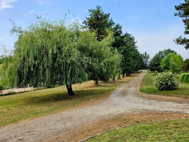 Maison à vendre 7 pièces de 218 m² à Villeneuve-lès-Bouloc